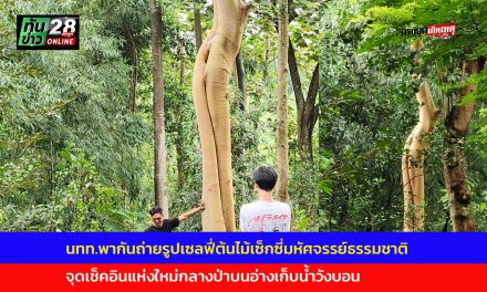 นครนายก นักท่องเที่ยวพากันถ่ายรูปเซลฟี่ต้นไม้เซ็กซี่มหัศจรรย์ธรรมชาติ จุดเช็คอินแห่งใหม่อ่างเก็บน้ำวังบอน