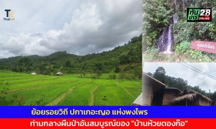 จ.แม่ฮ่องสอน  ย้อยรอยวิถีปกาเกอะญอแห่งพงไพรท่ามกลางผืนป่าอันสมบูรณ์ของ”บ้านห้วยตองก๊อ”  ตำบลห้วยปูลิง อ.เมือง