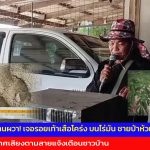 อุทัยธานี ผู้ใหญ่บ้านผวา! เจอรอยเท้าเสือโคร่ง บนไร่มัน ชายป่าห้วยขาแข้ง รีบประกาศเสียงตามสายแจ้งเตือนชาวบ้าน