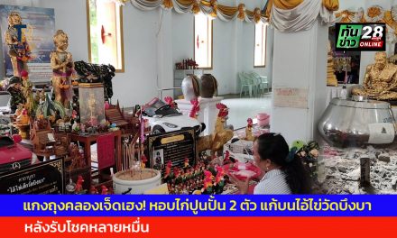ปทุมธานี แกงถุงคลองเจ็ดเฮง หอบไก่ปูนปั้น 2 ตัว แก้บนไอ้ไข่วัดบึงบา หลังรับโชคหลายหมื่น