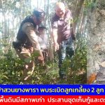 มุกดาหาร ชาวบ้านไทยเจริญ อำเภอดงหลวง  เก็บใบย่านางไปแกงหน่อไม้ ผงะพบระเบิดลูกเกลี้ยง 2 ลูกวางอยู่บนพื้นดินมีสภาพเก่า  ประสานชุดเก็บกู้และตรวจพิสูจน์