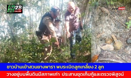 มุกดาหาร ชาวบ้านไทยเจริญ อำเภอดงหลวง  เก็บใบย่านางไปแกงหน่อไม้ ผงะพบระเบิดลูกเกลี้ยง 2 ลูกวางอยู่บนพื้นดินมีสภาพเก่า  ประสานชุดเก็บกู้และตรวจพิสูจน์