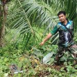 พังงา เจ้าหน้าที่บูรณาการตรวจสอบหมีควายทำร้ายชาวบ้านในพื้นที่อำเภอกะปง