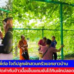 นครนายก หลวงพี่ต่อ ใจดีปลูกผักสวนครัวแจกชาวบ้าน ประหยัดค่ากับข้าวมื้อเย็นแถมยังได้กินผักปลอดสารพิษ