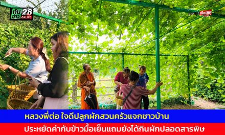 นครนายก หลวงพี่ต่อ ใจดีปลูกผักสวนครัวแจกชาวบ้าน ประหยัดค่ากับข้าวมื้อเย็นแถมยังได้กินผักปลอดสารพิษ