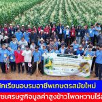 ปากช่อง  นักเรียนอบรมอาชีพเกษตรสมัยใหม่ พืชเศรษฐกิจมูลค่าสูงข้าวโพดหวานไร่สุวรรณ