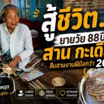 สกลนคร สู้ชีวิต! คุณยายวัย 88 ปี สาน “กะเตี่ยว” นึ่งข้าวขาย สืบสานงานฝีมือกว่า 20 ปี ขายเพียงอันละ 5 บาท