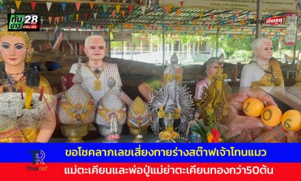 อ่างทอง โค้งสุดท้ายก่อนวันหวยออกกราบไหว้ขอโชคลาภเลขเสี่ยงทายร่างสต๊าฟเจ้าโทนแมวแม่ตะเคียนและพ่อปู่แม่ย่าตะเคียนทองกว่า50ต้น 