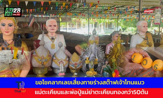 อ่างทอง โค้งสุดท้ายก่อนวันหวยออกกราบไหว้ขอโชคลาภเลขเสี่ยงทายร่างสต๊าฟเจ้าโทนแมวแม่ตะเคียนและพ่อปู่แม่ย่าตะเคียนทองกว่า50ต้น 