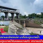 อ่างทอง แหล่งรวมของเหล่าเซียนปลาและนักตกปลายอดฮิตท้ายประตูระบายน้ำปากคลองบางแก้ว  หลังเปิดประตูระบายน้ำในคลองบางแก้ว  สาขาแม่น้ำเจ้าพระยา  ระบายออกสู่ด้านท้าย