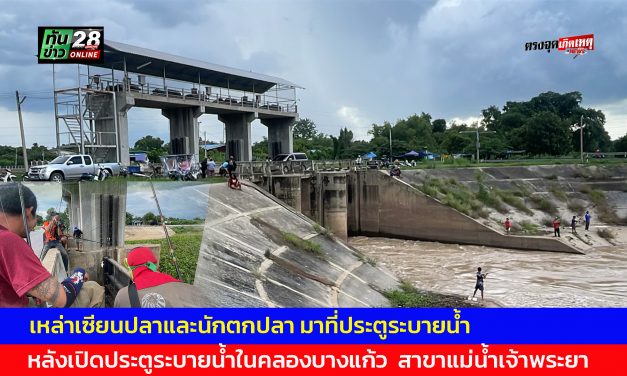 อ่างทอง แหล่งรวมของเหล่าเซียนปลาและนักตกปลายอดฮิตท้ายประตูระบายน้ำปากคลองบางแก้ว  หลังเปิดประตูระบายน้ำในคลองบางแก้ว  สาขาแม่น้ำเจ้าพระยา  ระบายออกสู่ด้านท้าย