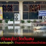 อ่างทอง ท่วมแล้ววัดต้นสนพระเณรชีต้องเดินลุยน้ำหลังน้ำเจ้าเพิ่มสูงขึ้นได้ลอดใต้เขื่อนผุดเข้าข้างบ่อเต่าเครื่องสูบน้ำไม่ทัน  เทศบาลเตรียมเข้าช่วยเหลือป้องกันเช้านี้